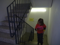 P1050929
